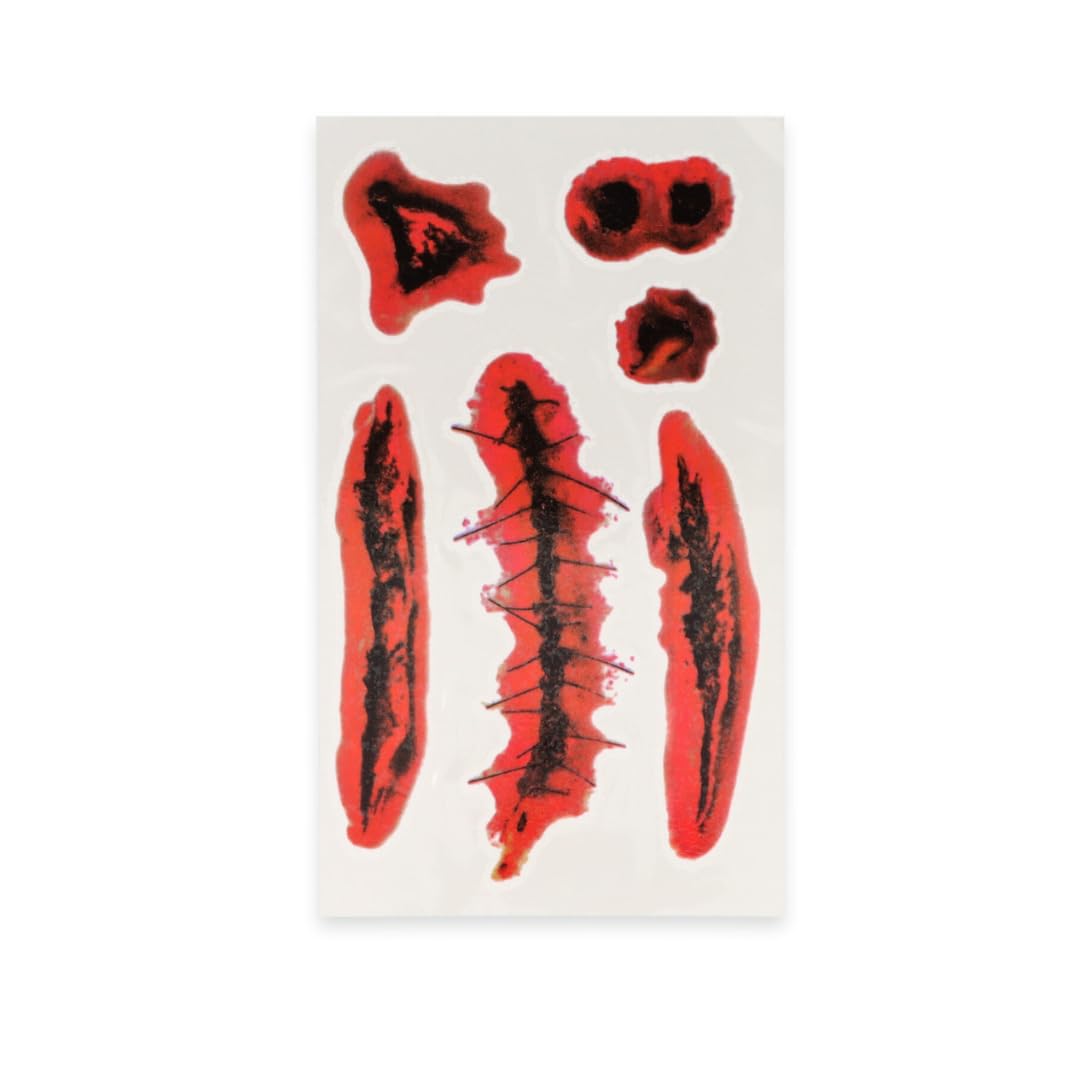Fake Blood Kit with Realistic Scar Tattoos Quantities of 12 Wholesale