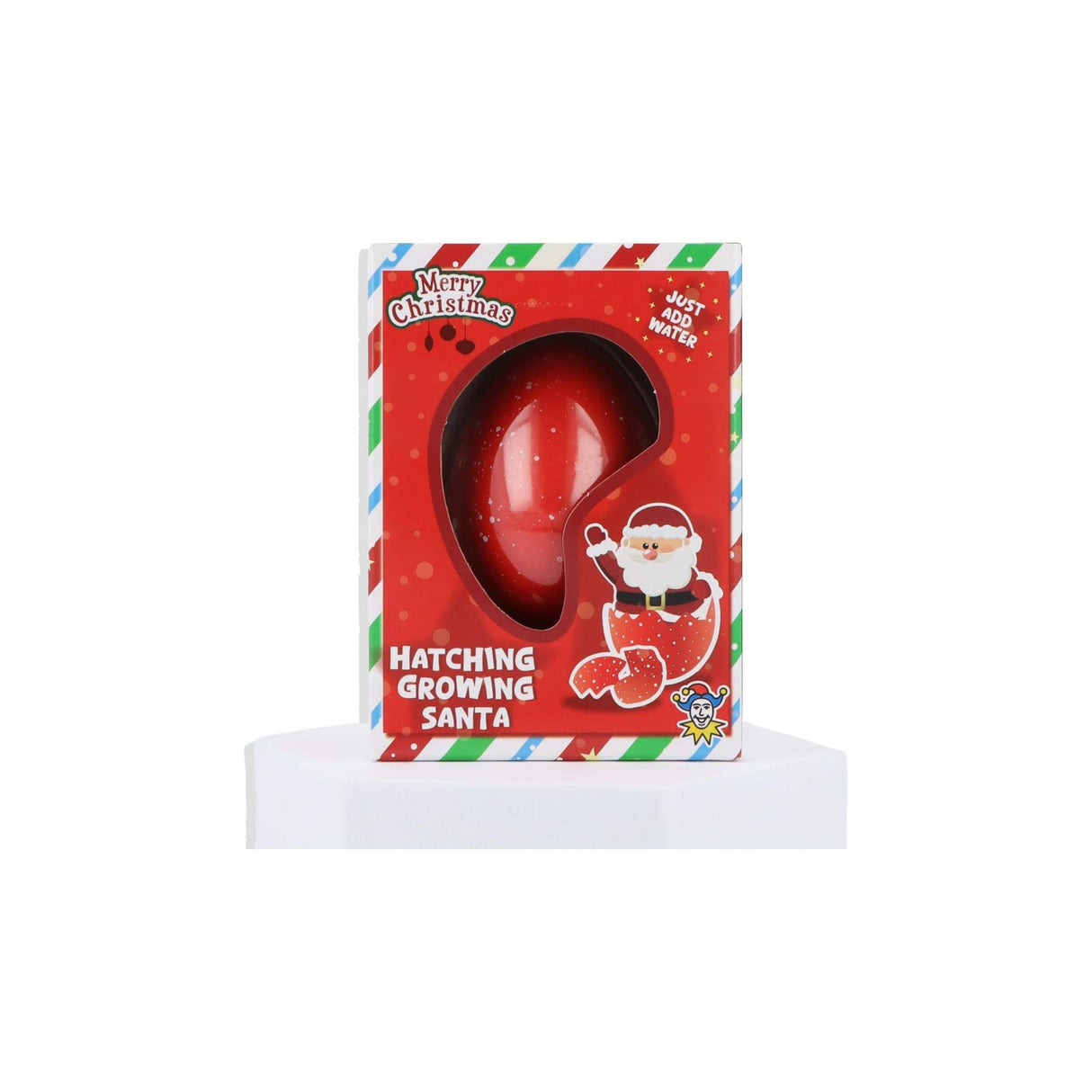 Christmas Hatch and Grow Santa / Snowman Hatching Egg Quantities of 12 Wholesale