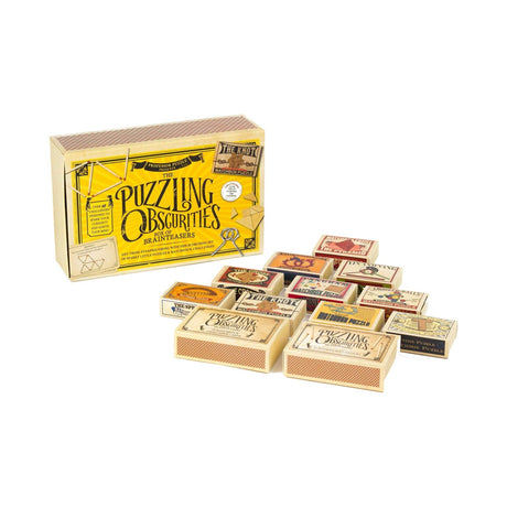 Professor Puzzle Puzzling Obscurities Box with 10 unique matchbox brainteasers.