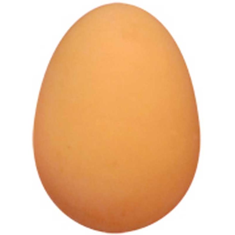 Bouncy Egg Wholesale