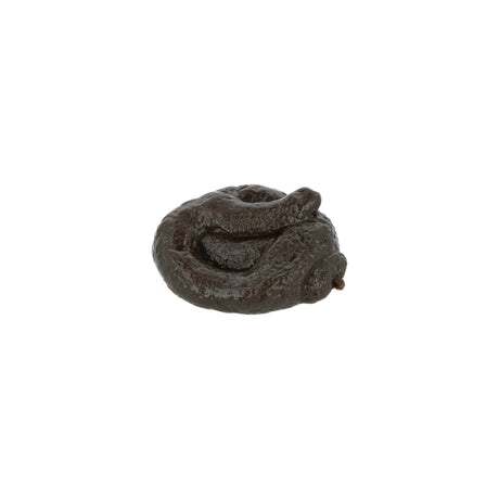 Sticky Poo - TC Toys