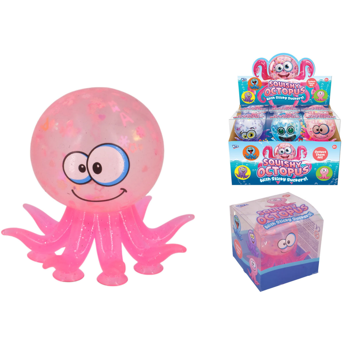 Maltose Sucker Octopus in quantities of 12