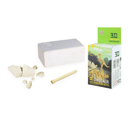 Paleontological Dig Kit with 3D Dinosaur Skeleton Wholesale