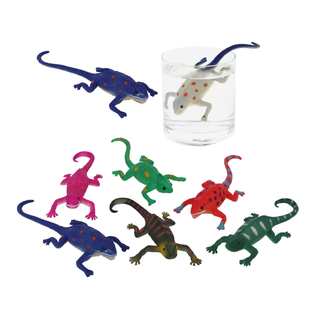 Colour Changing Lizard - Limited to one per order