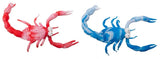 Sammy the Scorpion Quantities of 12