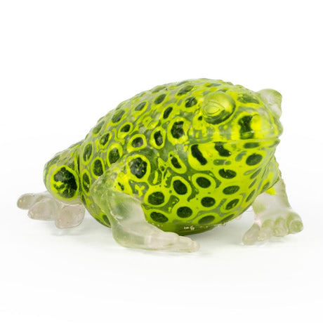Beadz Alive Frog Quantities of 12 Wholesale